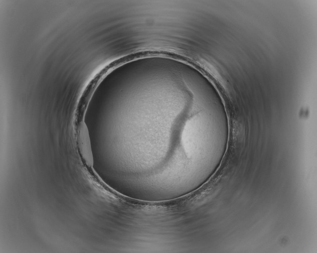 X0000090981068200708161851