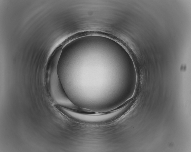 X0000090981069200708161851