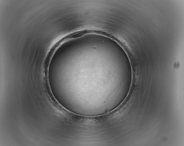 X0000090981070200708161851