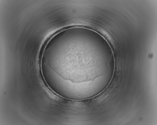 X0000090981072200708161851