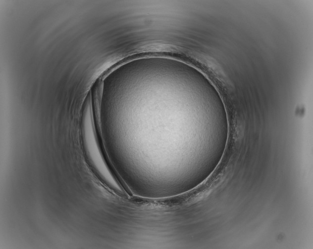 X0000090981073200708161851