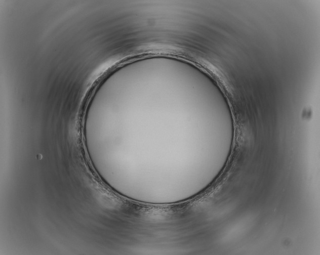 X0000090981074200708161851