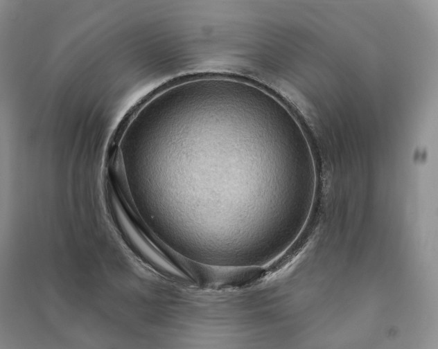 X0000090981077200708161851