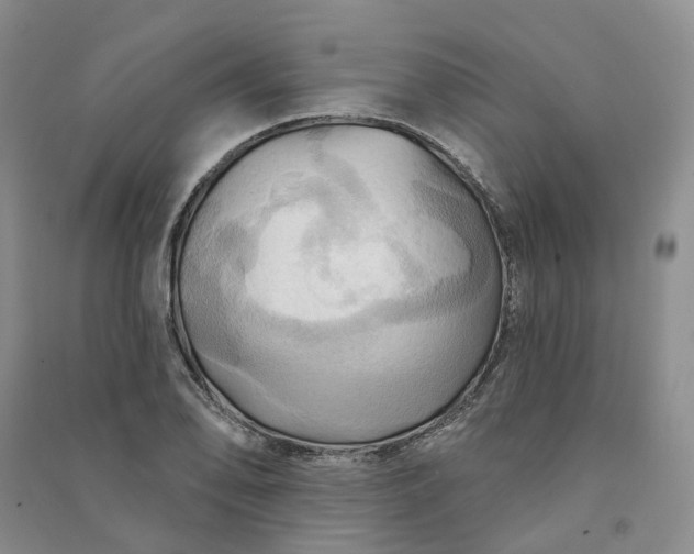X0000090981078200708161851