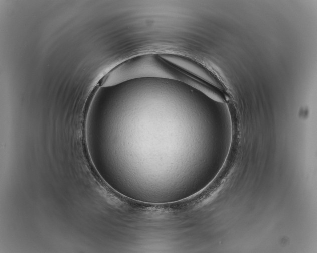 X0000090981081200708161851