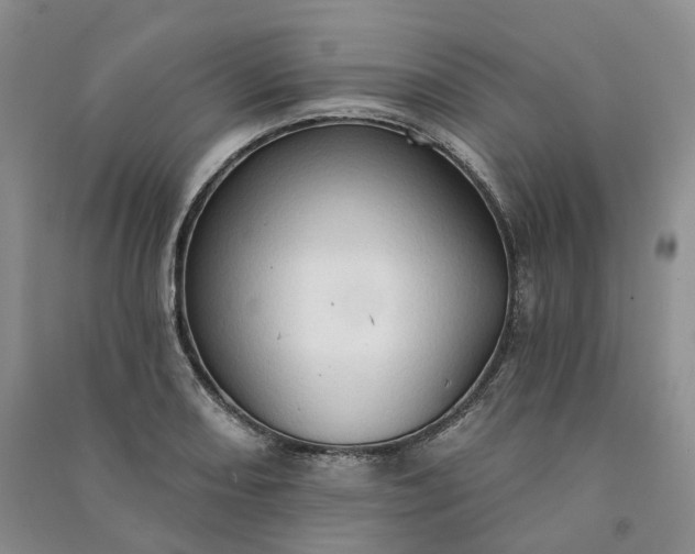 X0000090981082200708161851