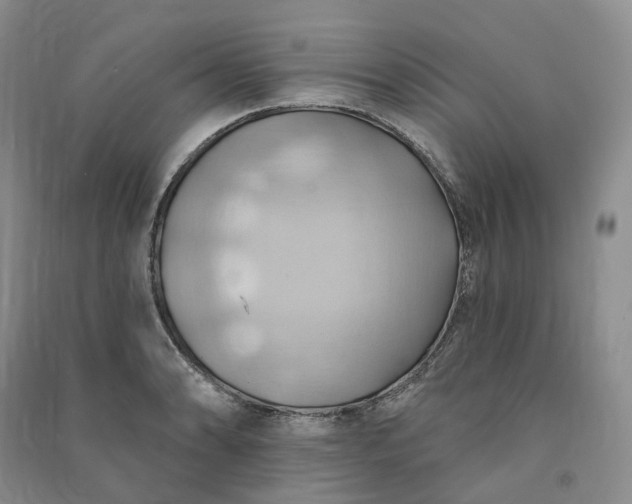 X0000090981086200708161851