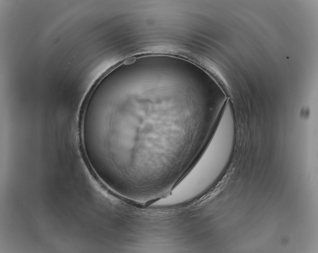 X0000090981087200708161851