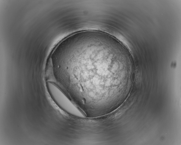 X0000090981088200708161851