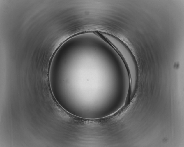 X0000090981089200708161851