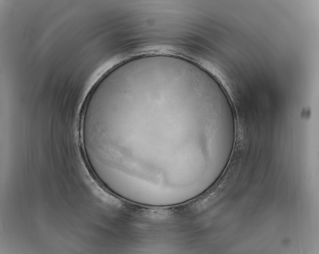 X0000090981090200708161851