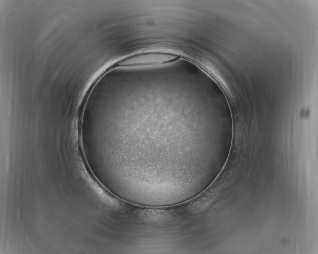 X0000090981092200708161851