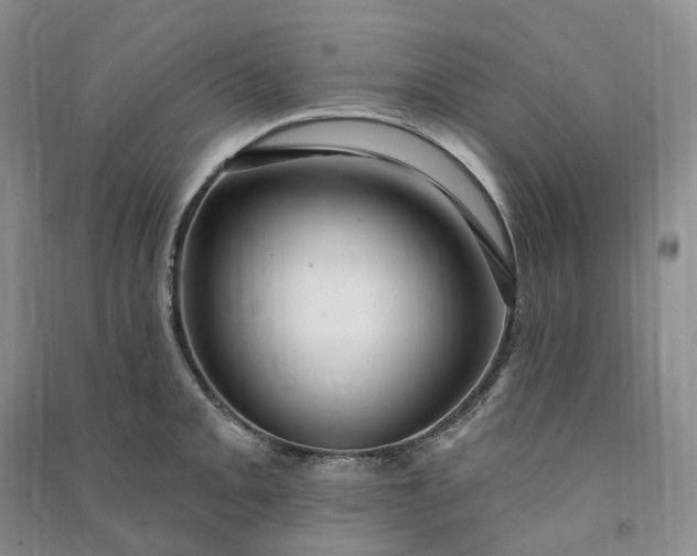 X0000090981093200708161851