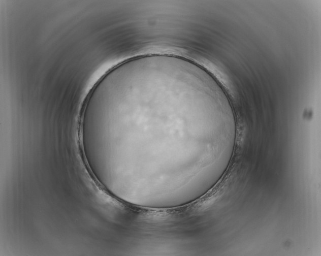 X0000090981094200708161851