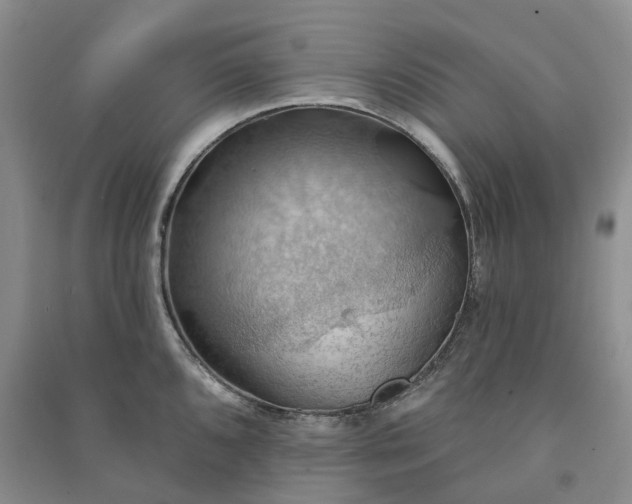 X0000090981096200708161851