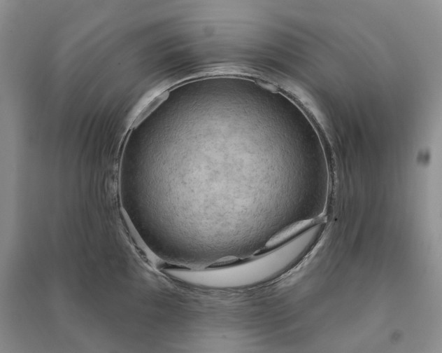 X0000090981097200708161851