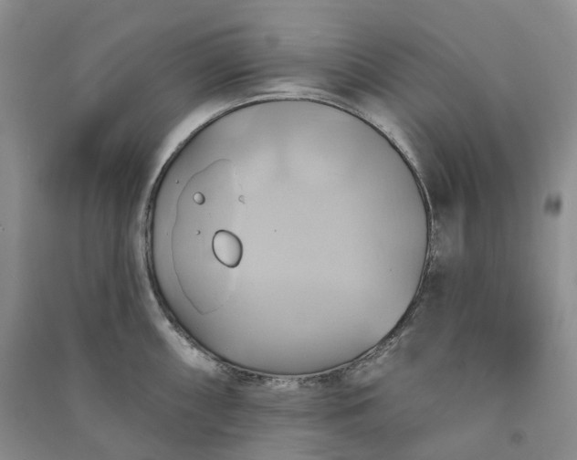 X0000090981098200708161851