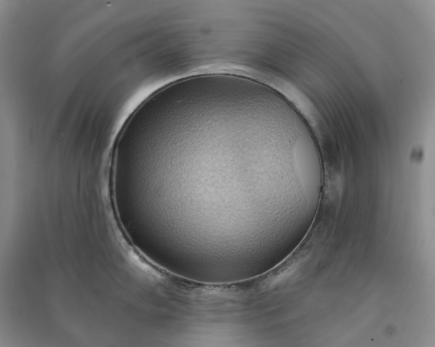 X0000090981102200708161851