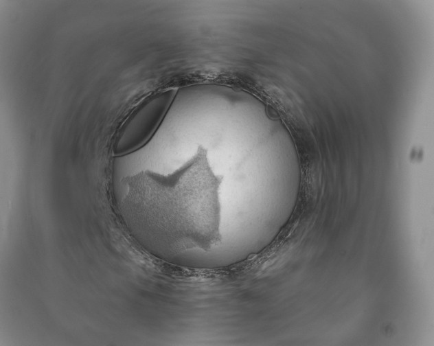 X0000090981105200708161850