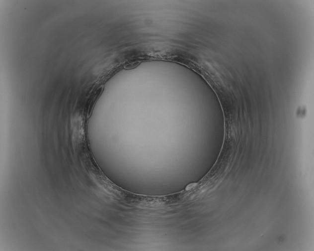X0000090981106200708161850