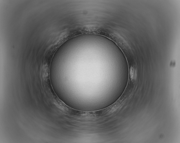 X0000090981107200708161850
