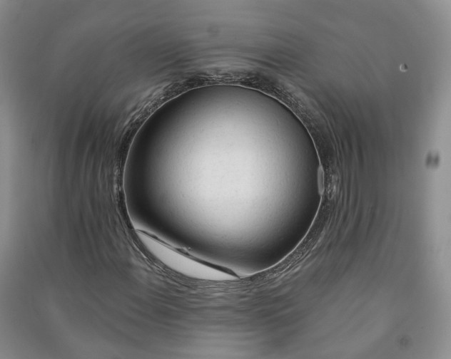X0000090981108200708161850