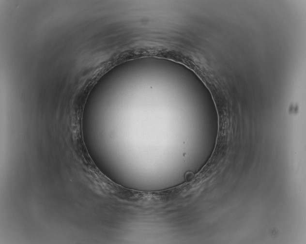 X0000090981109200708161850