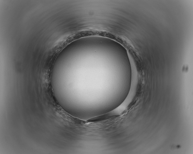 X0000090981110200708161850