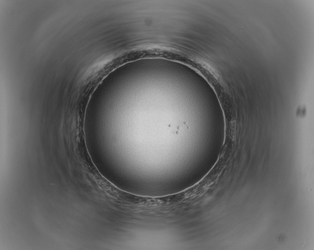 X0000090981111200708161850