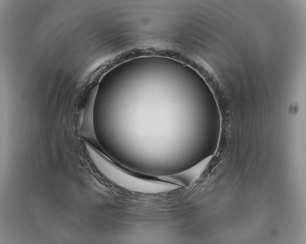 X0000090981112200708161850