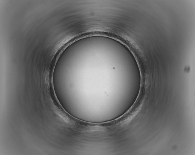 X0000090981113200708161850