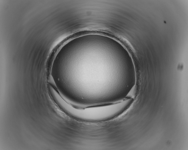 X0000090981114200708161850