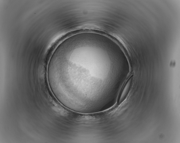 X0000090981115200708161850