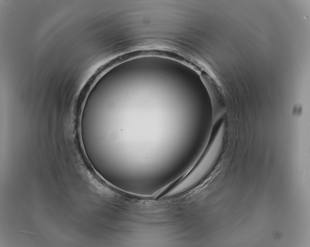 X0000090981116200708161850