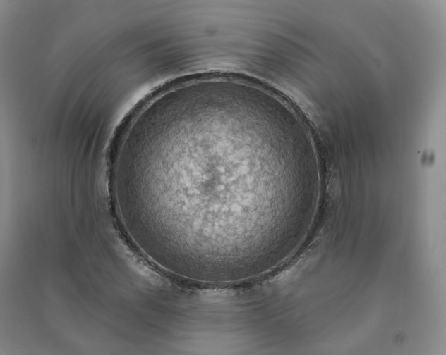 X0000090981118200708161850