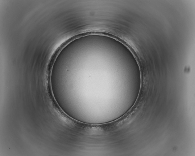 X0000090981119200708161850