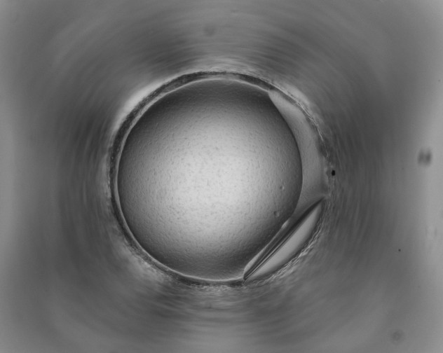 X0000090981120200708161850