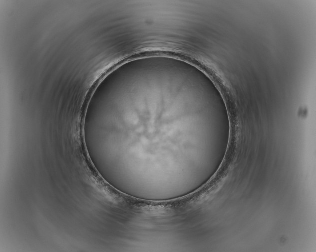 X0000090981121200708161850