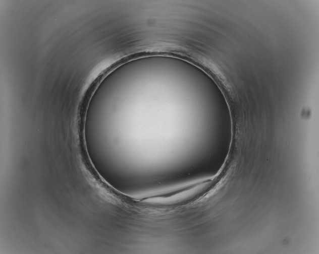 X0000090981122200708161850