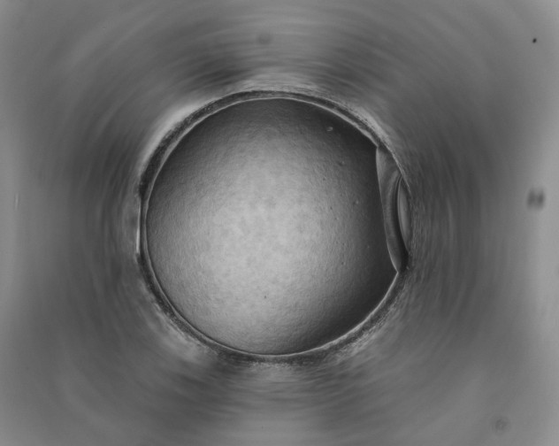 X0000090981123200708161850