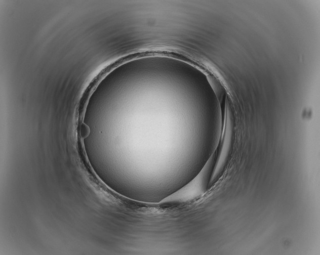 X0000090981124200708161850