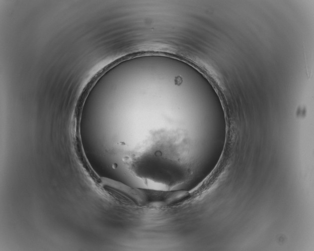 X0000090981125200708161850