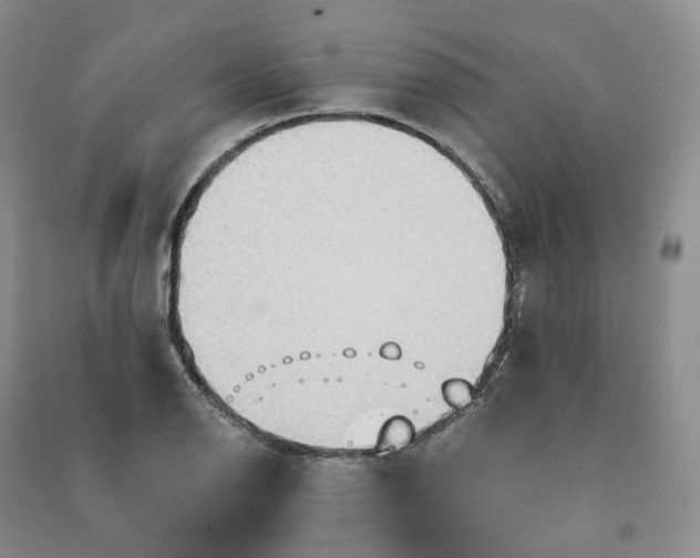 X0000090981126200708161850
