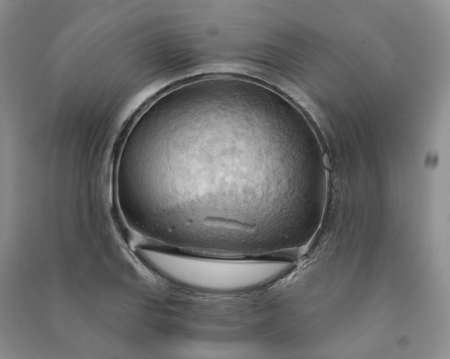 X0000090981127200708161850
