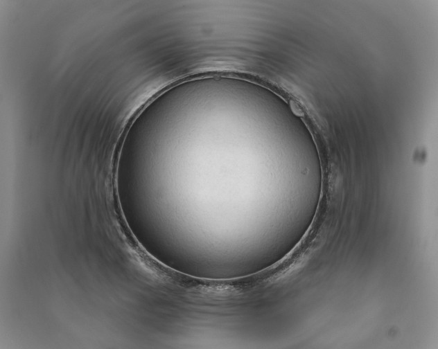 X0000090981129200708161850