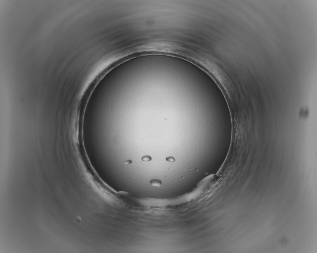 X0000090981131200708161850