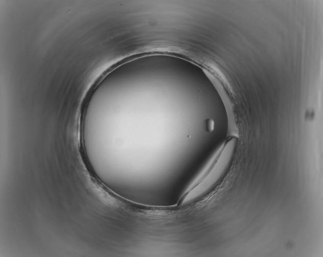 X0000090981132200708161850