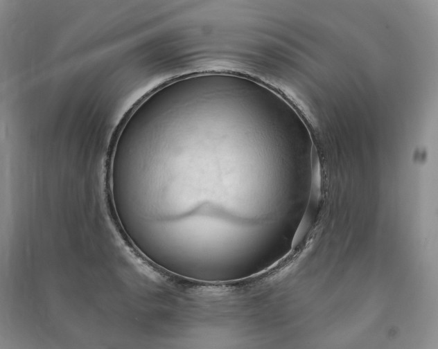 X0000090981134200708161850