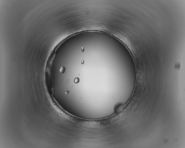 X0000090981135200708161850