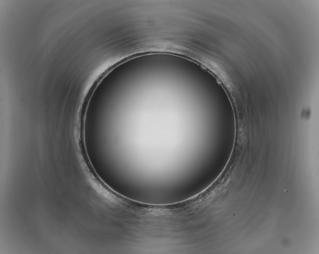 X0000090981136200708161850
